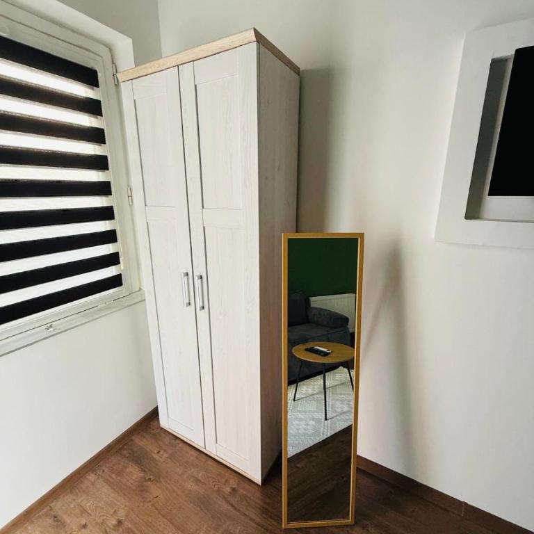 Central Green Apartman Novi Sad - Apartman sa 1 Spavaćom Sobom - 3