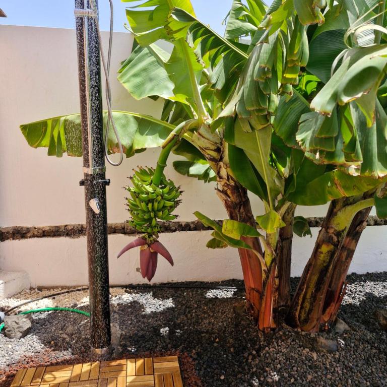 Sunrise Surf House, Big Garden, Hot Tub, Parking, super-fast free Wi-Fi - Casa de 4 dormitorios - 7