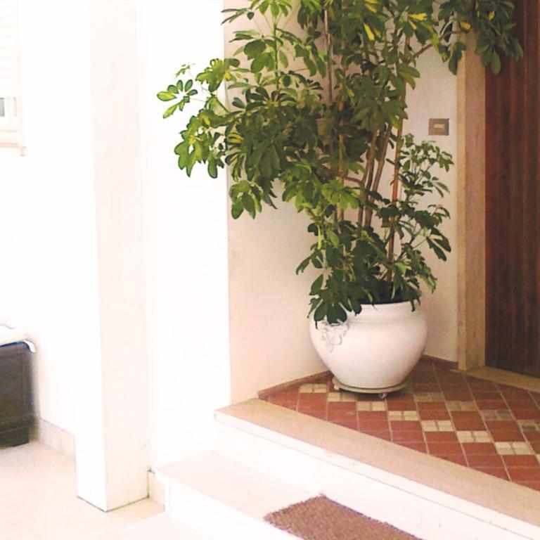 Residenza Alice - Toscana mare e monti - Apartment - 30