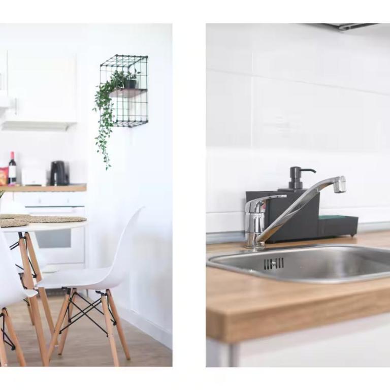 Suite Palm Oasis - Apartamento - 16