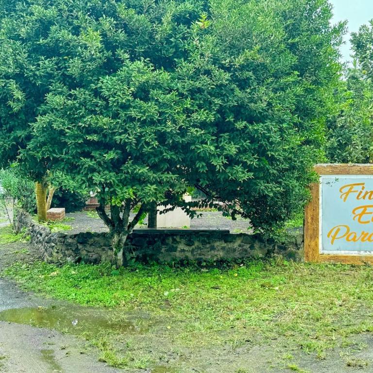 Beautiful Family Farm in Pacoche - One-Bedroom Apartment - 28