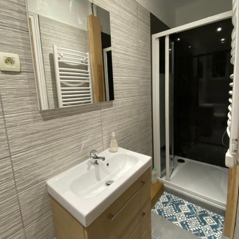 Appartement Le Central Park - Appartement 1 Chambre - 3