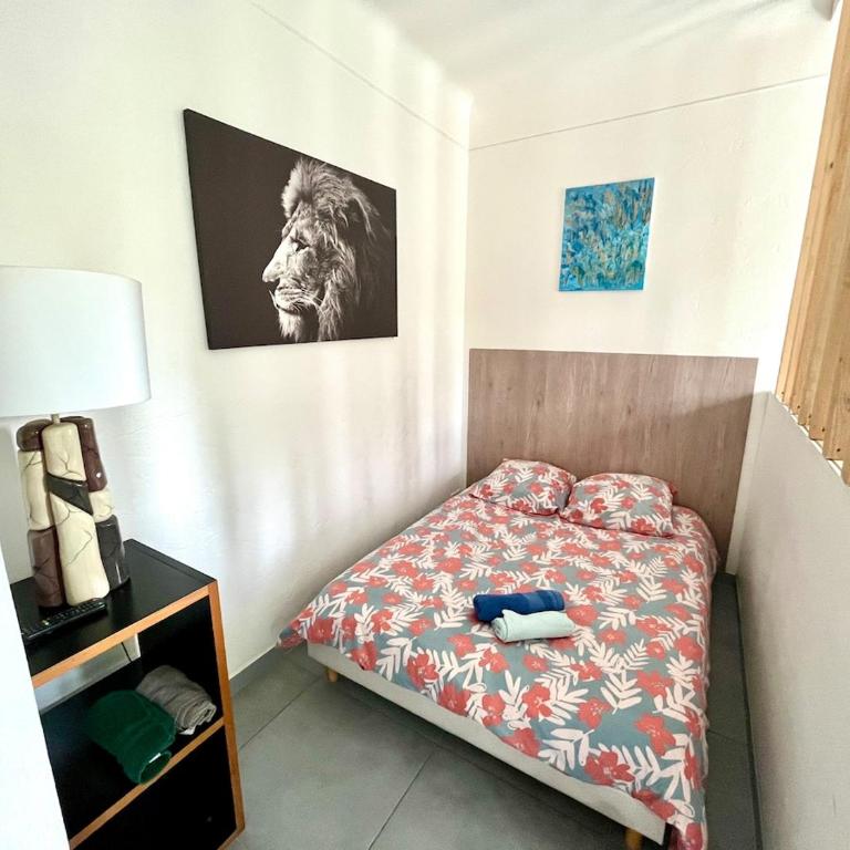 Appartement Le Central Park - Appartement 1 Chambre - 5