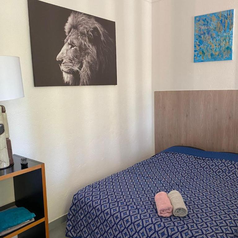 Appartement Le Central Park - Appartement 1 Chambre - 13