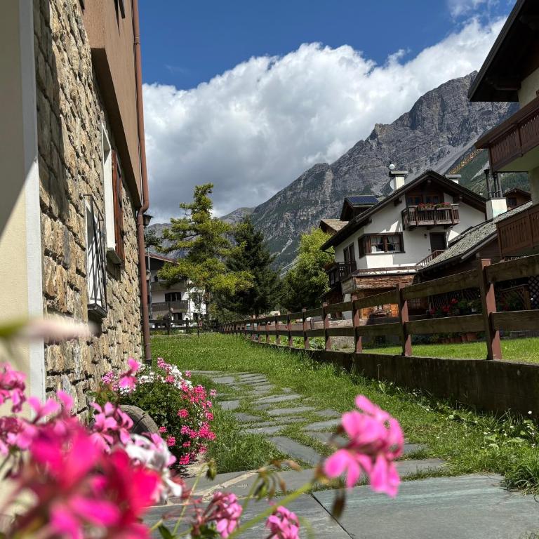 Appartamento Nigritella - 2BR - piano terra rialzato - centrale, a 650mt da Bormio Terme - parking - Appartamento con 2 Camere da Letto - 3