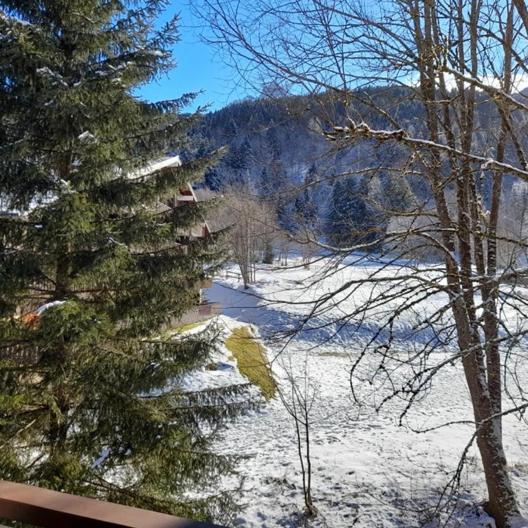 Appartement calme avec parking, proche des Portes du Soleil - Apartment mit 1 Schlafzimmer - 10