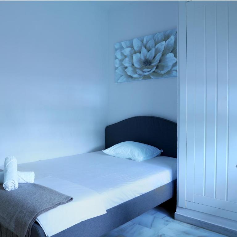 Las Gaviotas B9 - Apartamento - 24