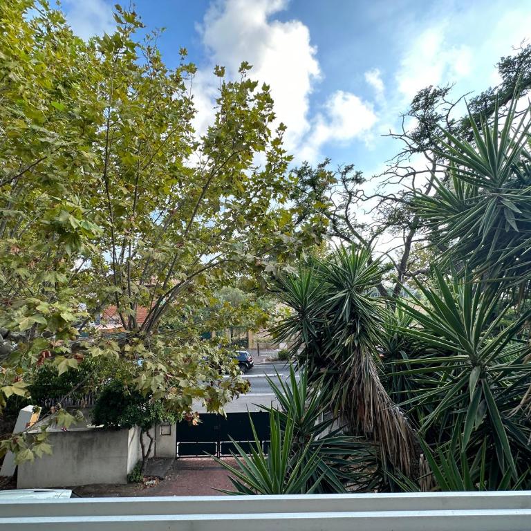 TASSIGNY à Frejus Parking et Terrasse - Apartamento de 3 dormitorios - 31