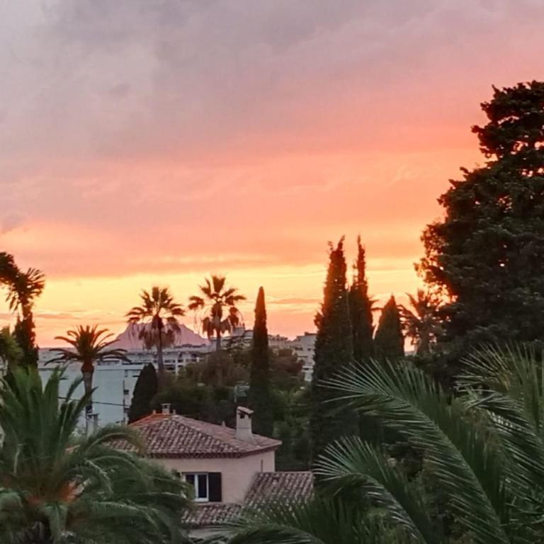 Appt 83m2 rez de jardin dans villa parc privé balcon vue mer - Apartment mit 1 Schlafzimmer und Gartenblick - 15