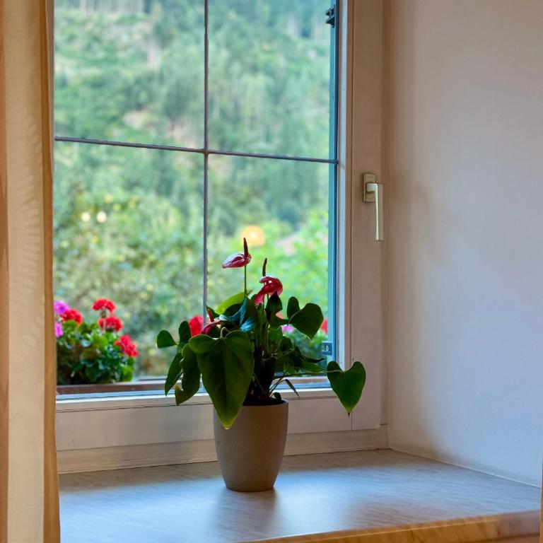 Gasthof Neumeister - Apartment mit 1 Schlafzimmer - 2
