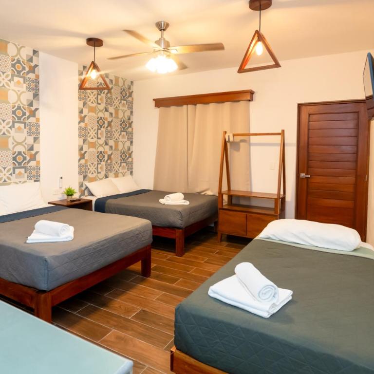 Suucilha - Apartamento Estudio - 3