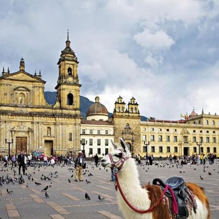 Apartaestudio en Torre Ventto Piso 25 Vista 180 Centro Histórico - Apartamento de 1 dormitorio - 21