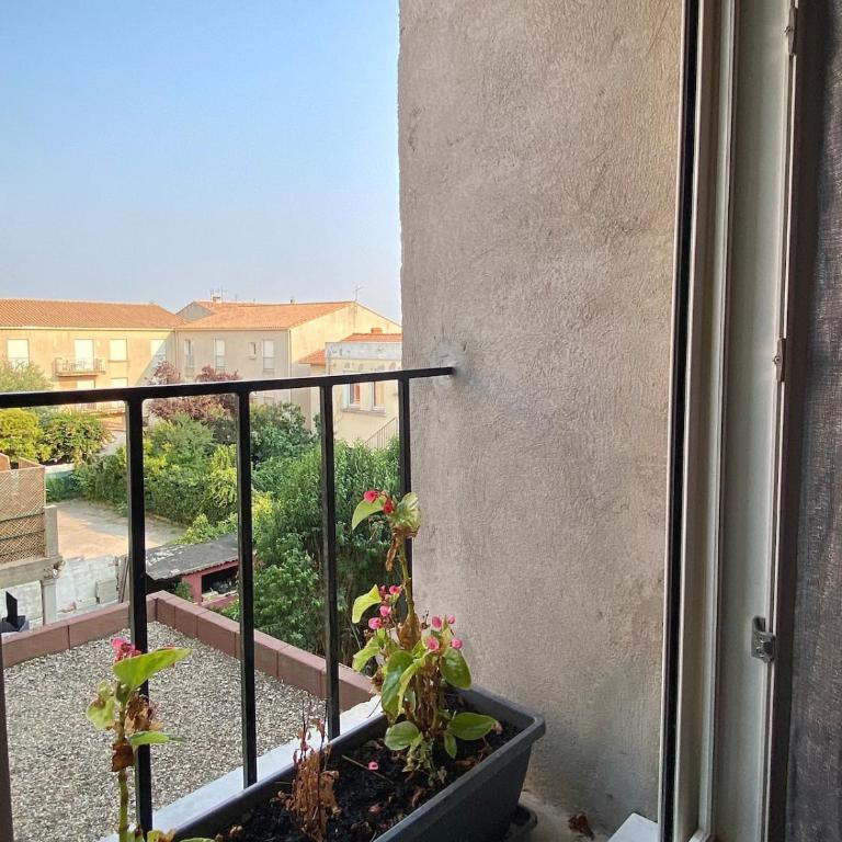 Two bed accommodation - Apartment mit 1 Schlafzimmer - 9