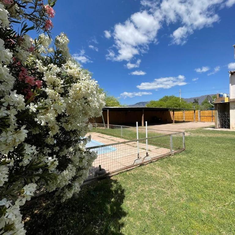 Cabañas en La Rioja Capital - Apartamento de 2 dormitorios - 17