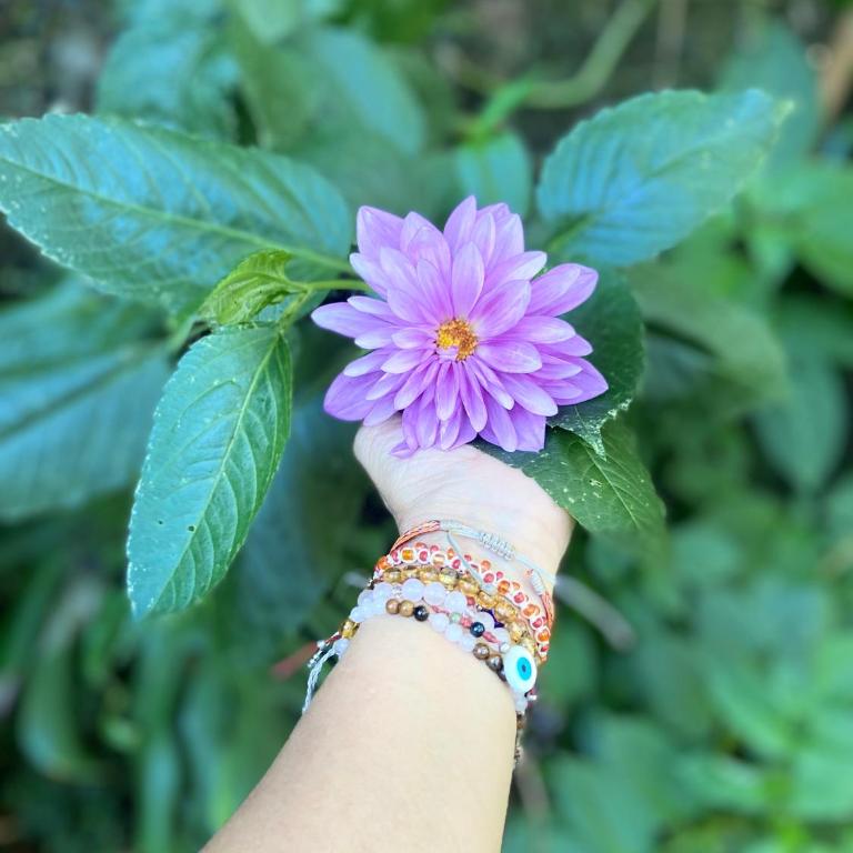 Casa Ashraya - Habitación Doble con vistas a la montaña - 4