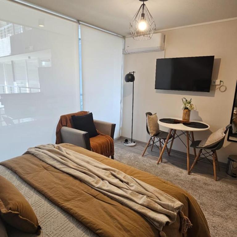 HOM I Luminoso y Acogedor Studio 2PAX en Santiago - Estudio - 29