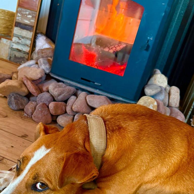 Redondo Beach frente al océano - Casa de 2 dormitorios - 40