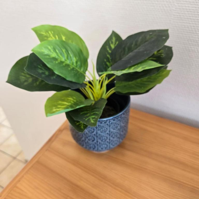 T2 Cosy à 800mètres de la mer - Appartement - 27