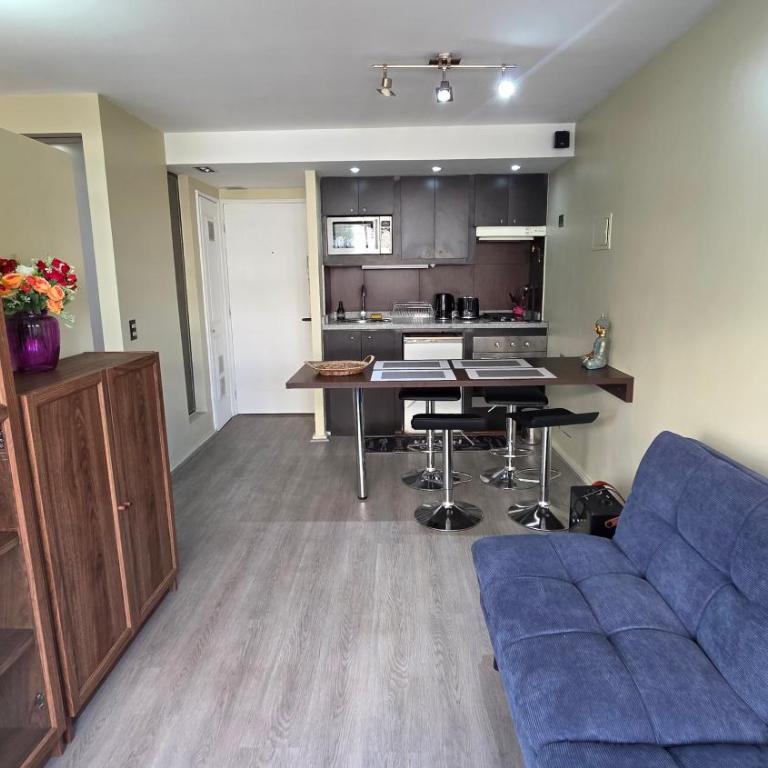 Oceana Suites Providencia - One-Bedroom Apartment - 5