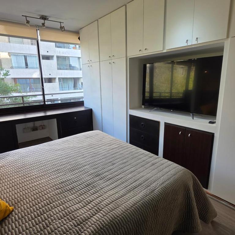 Oceana Suites Providencia - One-Bedroom Apartment - 7