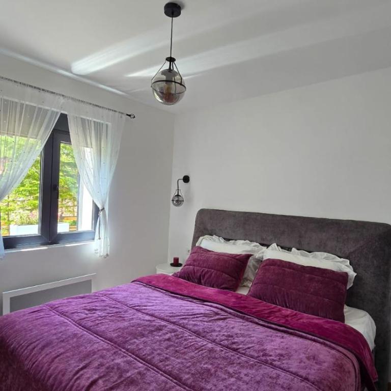 Vila Jezero 1 - One-Bedroom Apartment - 35