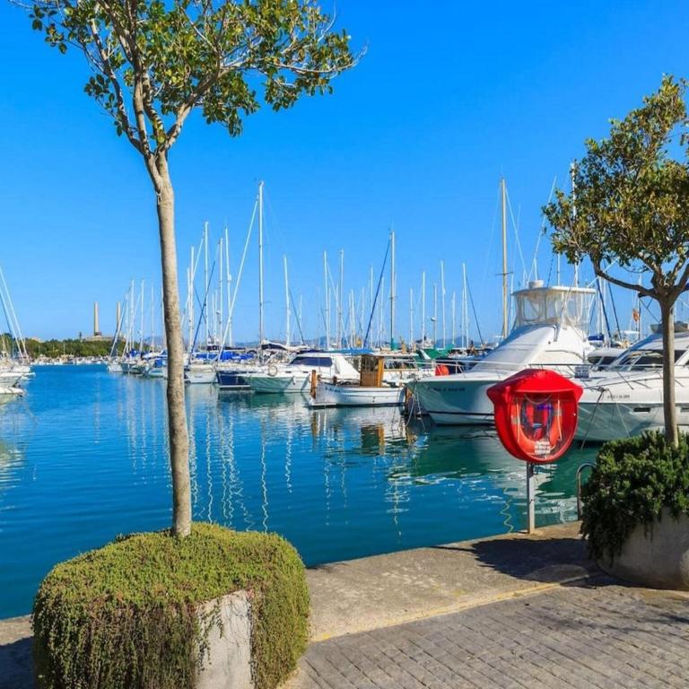 Spacious villa in Alcúdia with pool - Villa de 6 dormitorios - 39