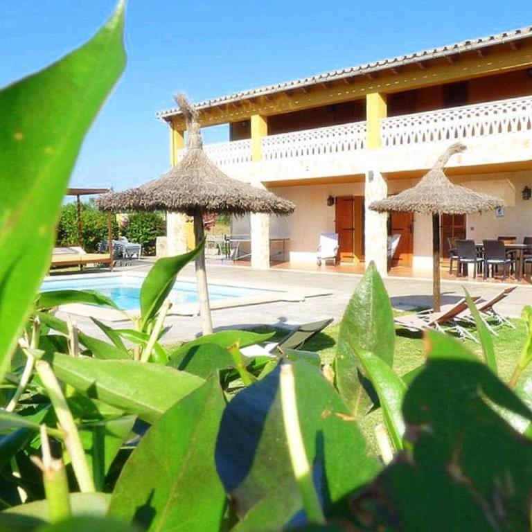 Spacious villa in Alcúdia with pool - Villa de 6 dormitorios - 6