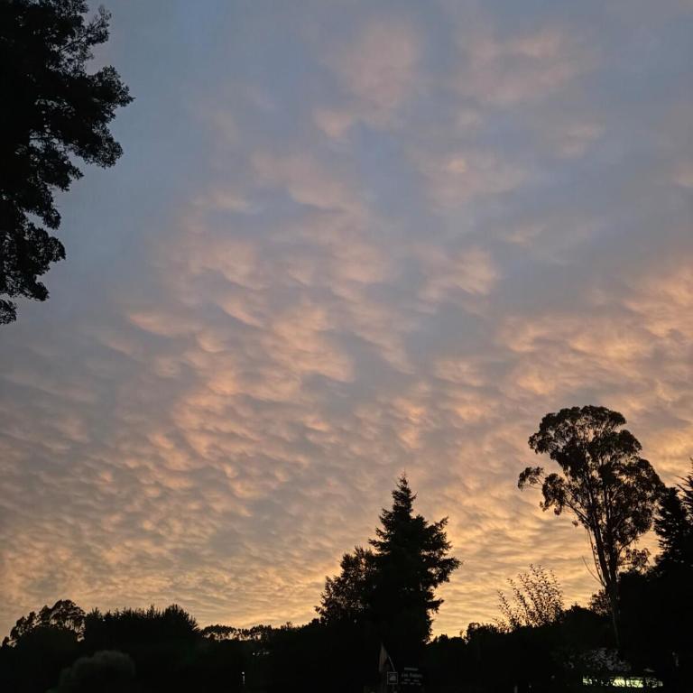 Cabañita Chilota - Casa con 1 dormitorio - 14