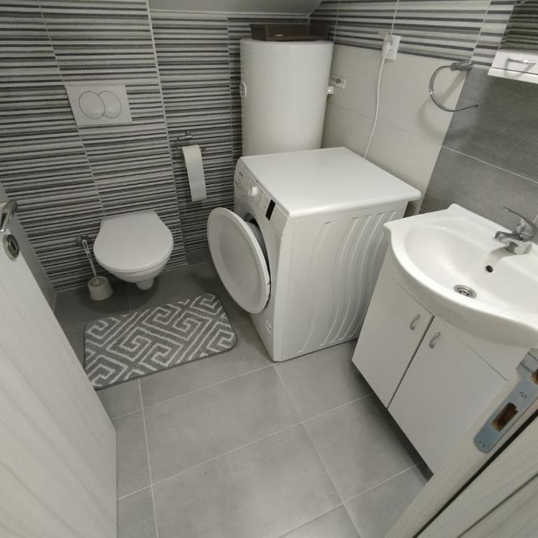 Beograd Green Apartman - Apartman sa 2 Spavaće Sobe - 19