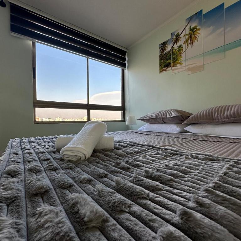 vista sacaramentinos - One-Bedroom Apartment - 11