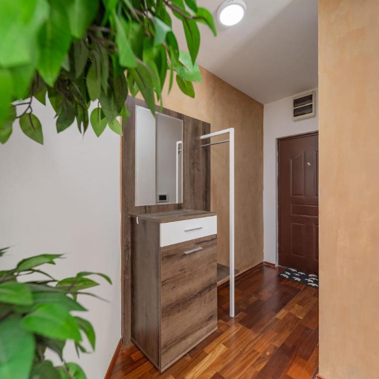 Apartman Igor 1 - One-Bedroom Apartment - 9