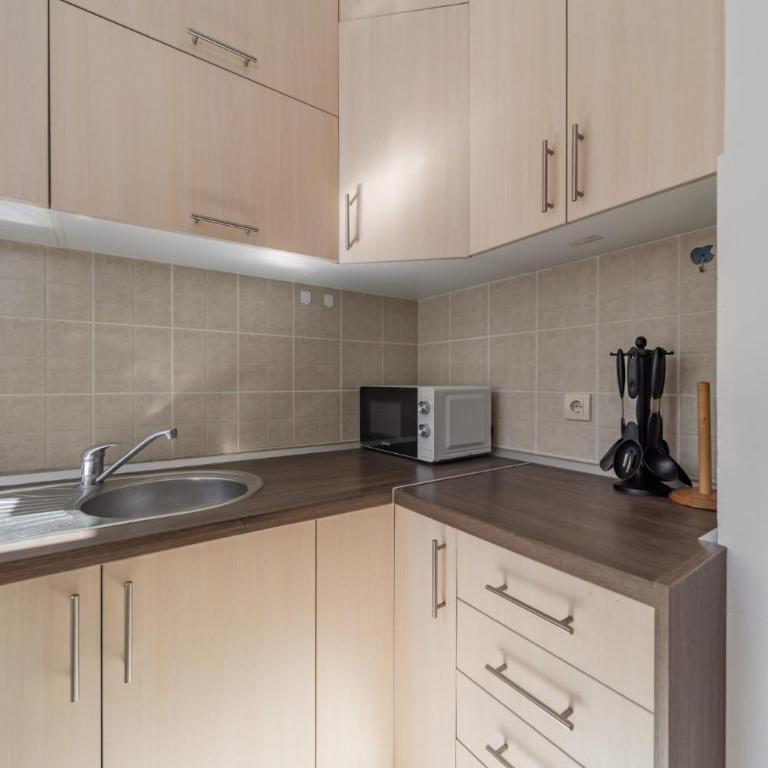 Apartman Igor 1 - One-Bedroom Apartment - 11