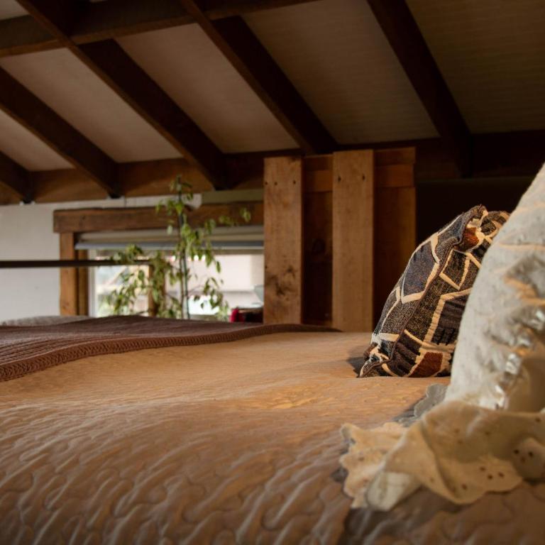 Cabañas Fischer SpA - Estudio con balcón - 10