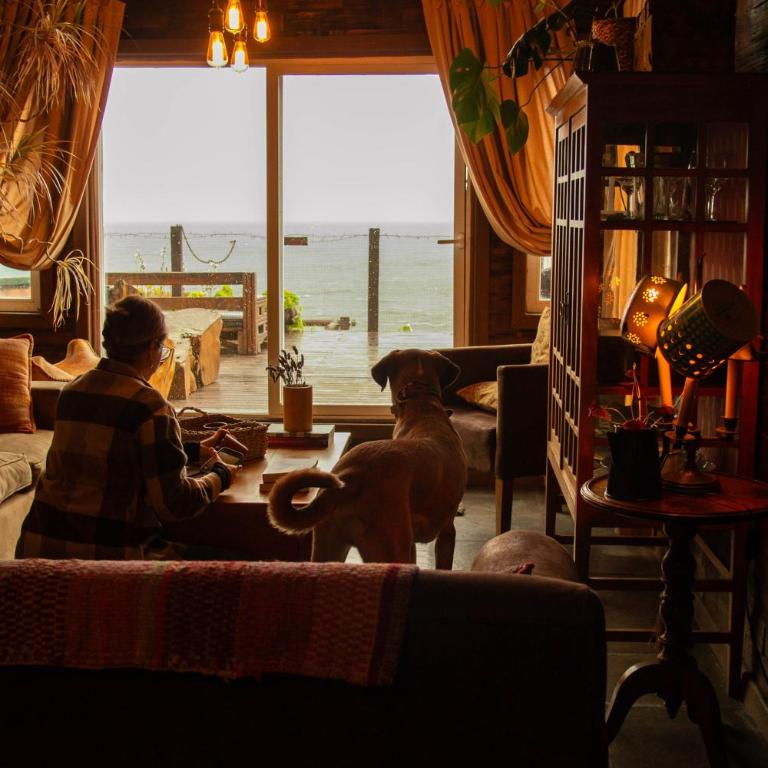 Cabañas Fischer SpA - Villa with Sea View - 22