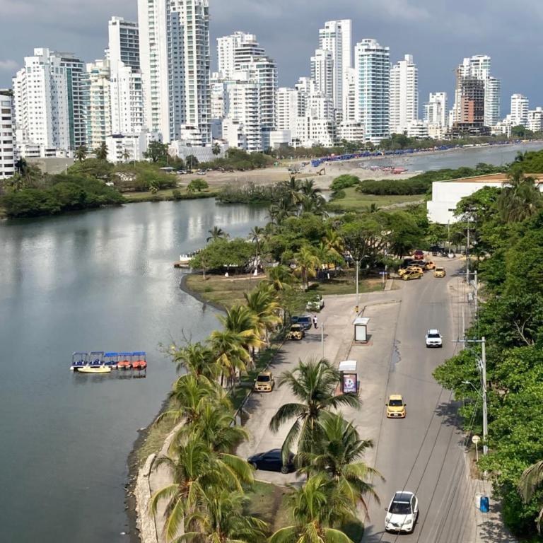 Vive 801 - Apartamento de 2 dormitorios - 5
