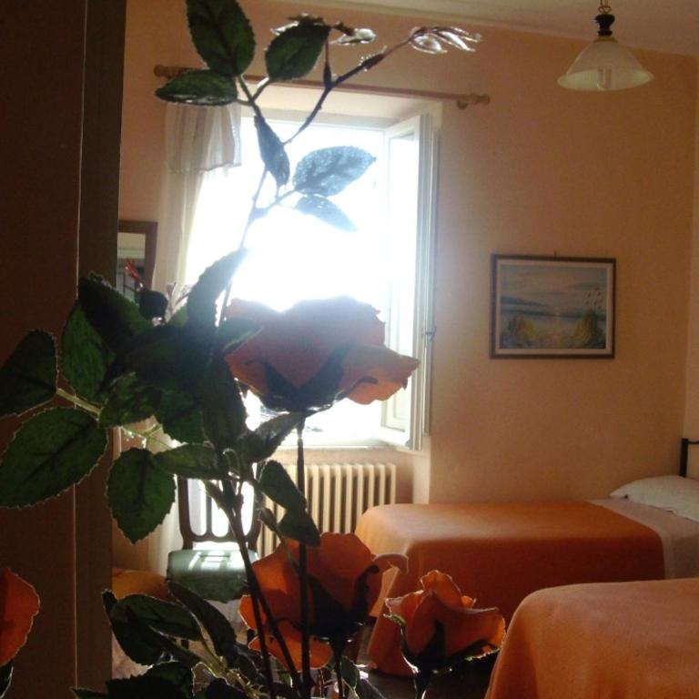 Albergo Anna - Camera Matrimoniale/Doppia con Letti Singoli - 8