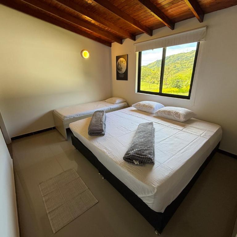 Hostería Blanco y Negro - Habitación Doble con baño privado - 1 o 2 camas - 4
