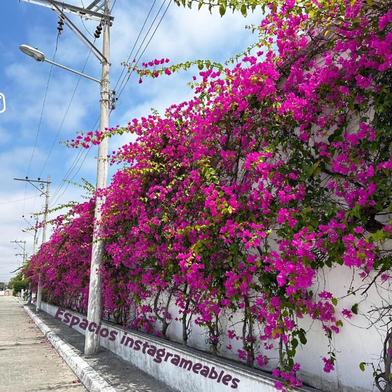 Hermosa casa frente al mar, Piscina, Wifi, AC, Jacuzzi - Villa - Beach Front - 23