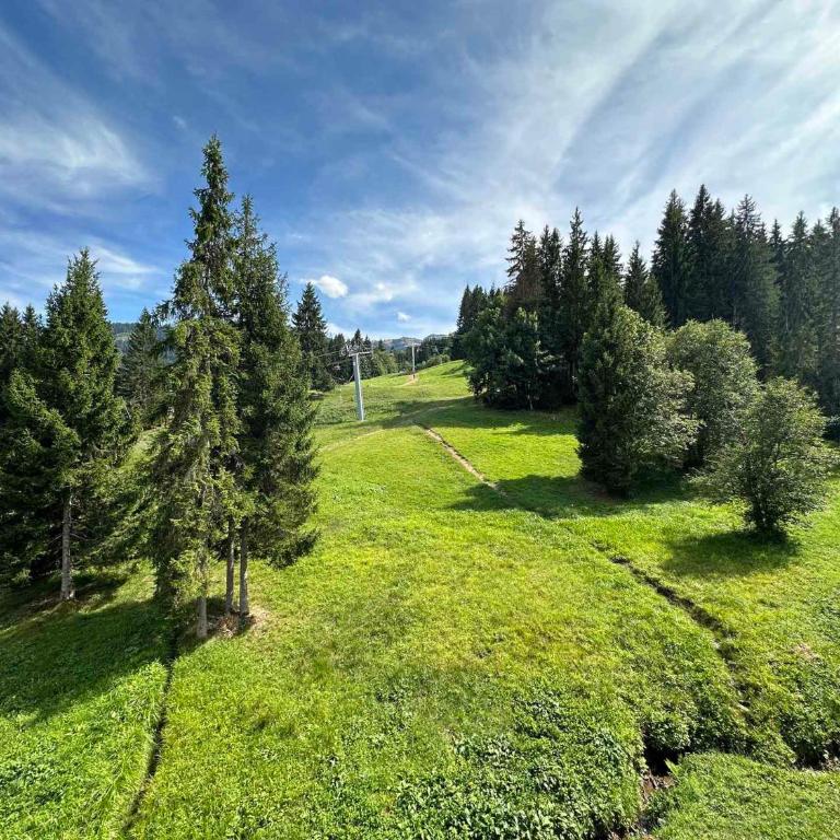 Appartement confortable au pied des pistes pour 8 personnes - Appartement 4 Chambres - 16