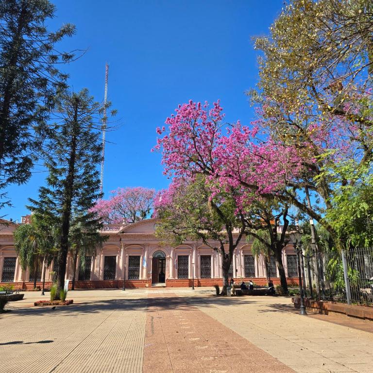 Espacio Utopía - Apartamento de 1 dormitorio - 21