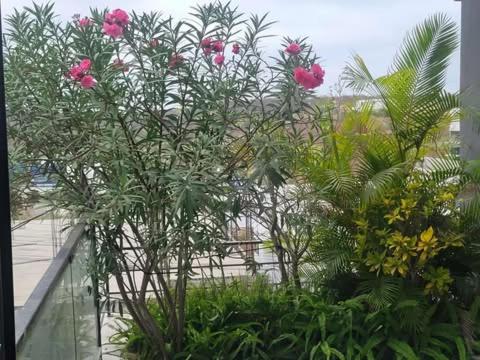 Sea View Getaway - Two-Bedroom Deluxe Apartment with Ocean View - 2