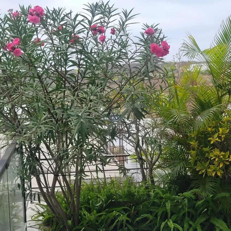 Sea View Getaway - Two-Bedroom Deluxe Apartment with Ocean View - 3
