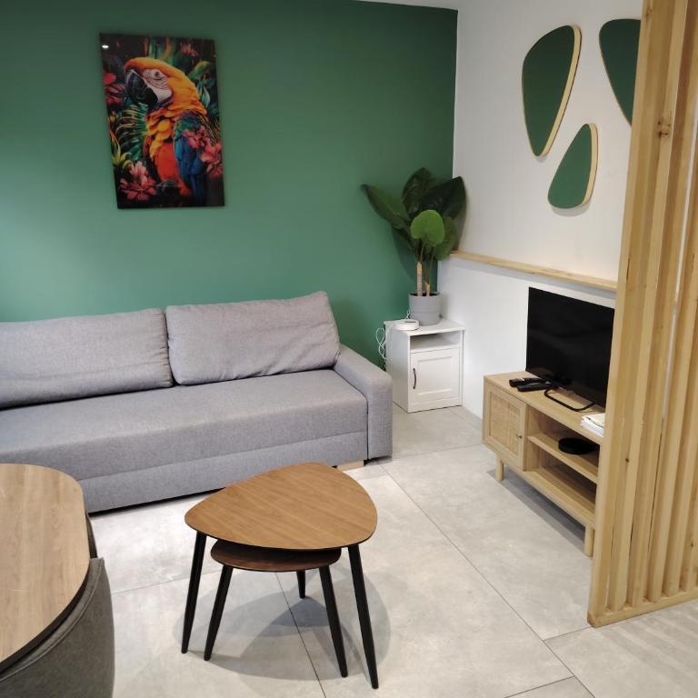 La Parenthese Grenobloise - Appartement 1 Chambre - 6