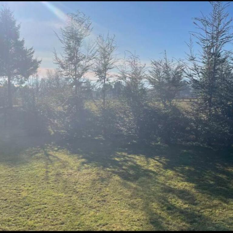 Country Pucon, descanso total en la Naturaleza - Four-Bedroom House - 16