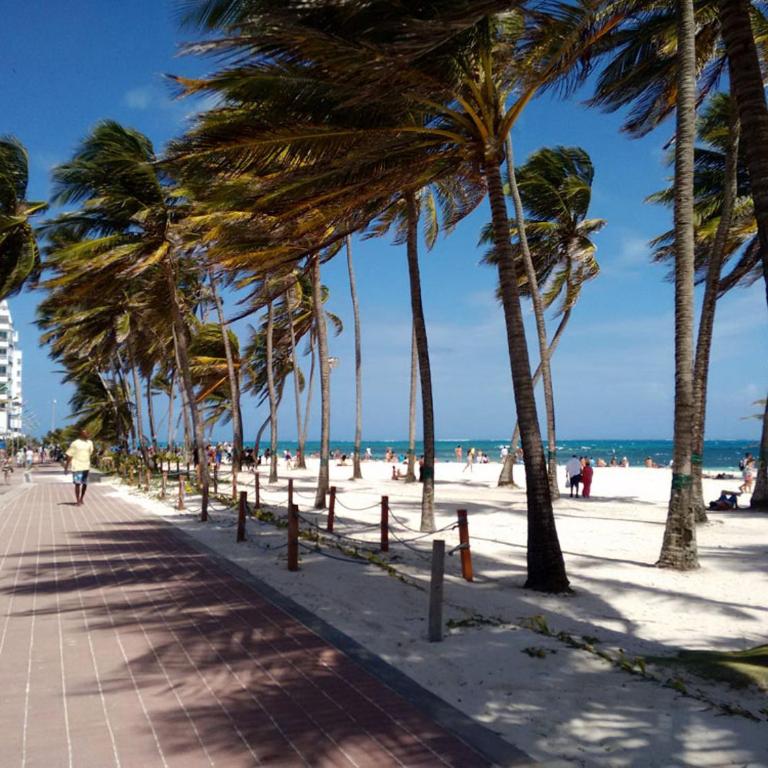 Apartamento En San Andres - Apartamento - 39