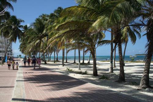 Apartamento En San Andres - Apartamento - 40
