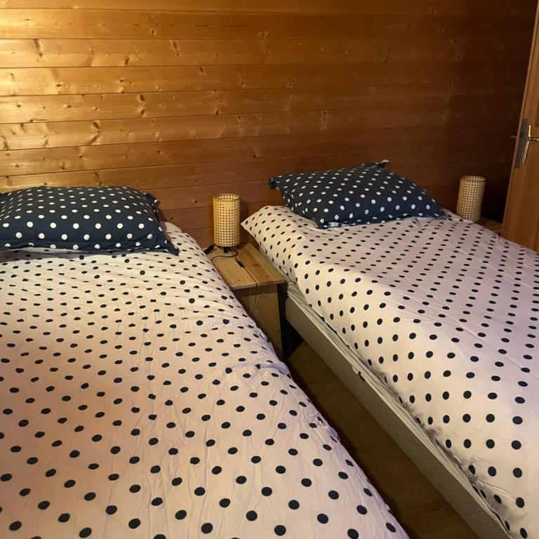 Chalet, vue sur la vallée, Domaine skiable Grand Massif - Chalet - 15