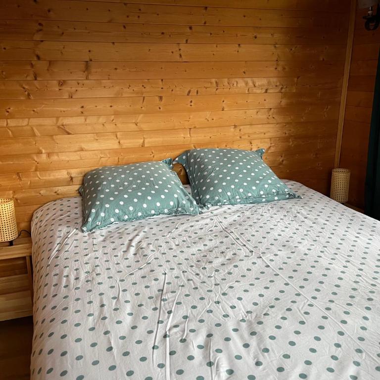Chalet, vue sur la vallée, Domaine skiable Grand Massif - Chalet - 19