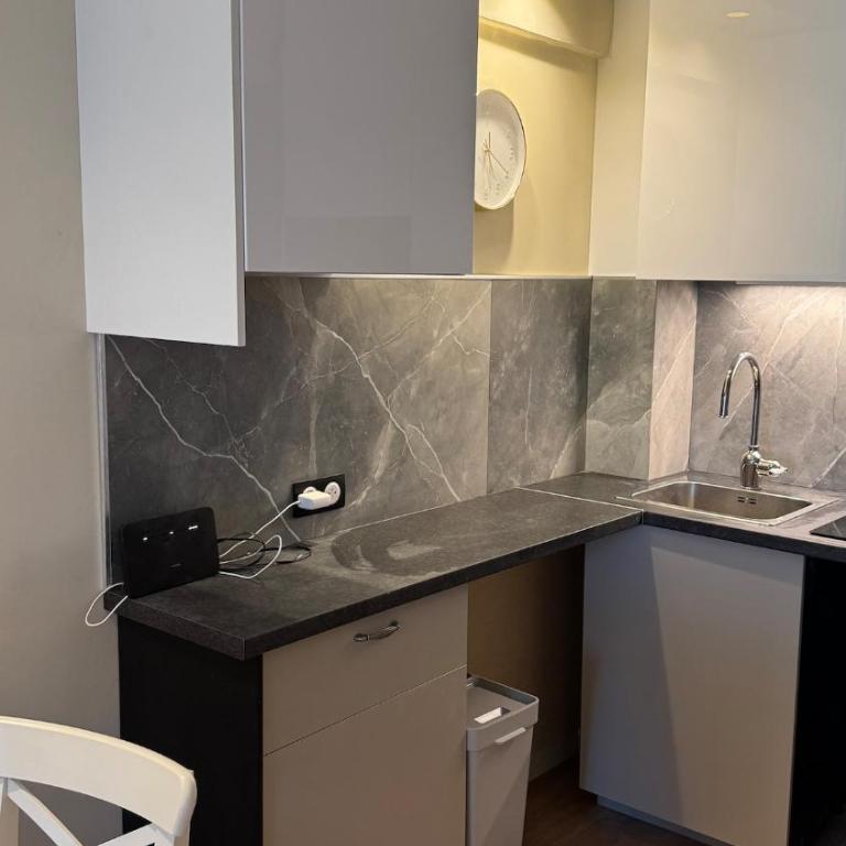 Renovated & cozy apartment - Appartement 1 Chambre - 3