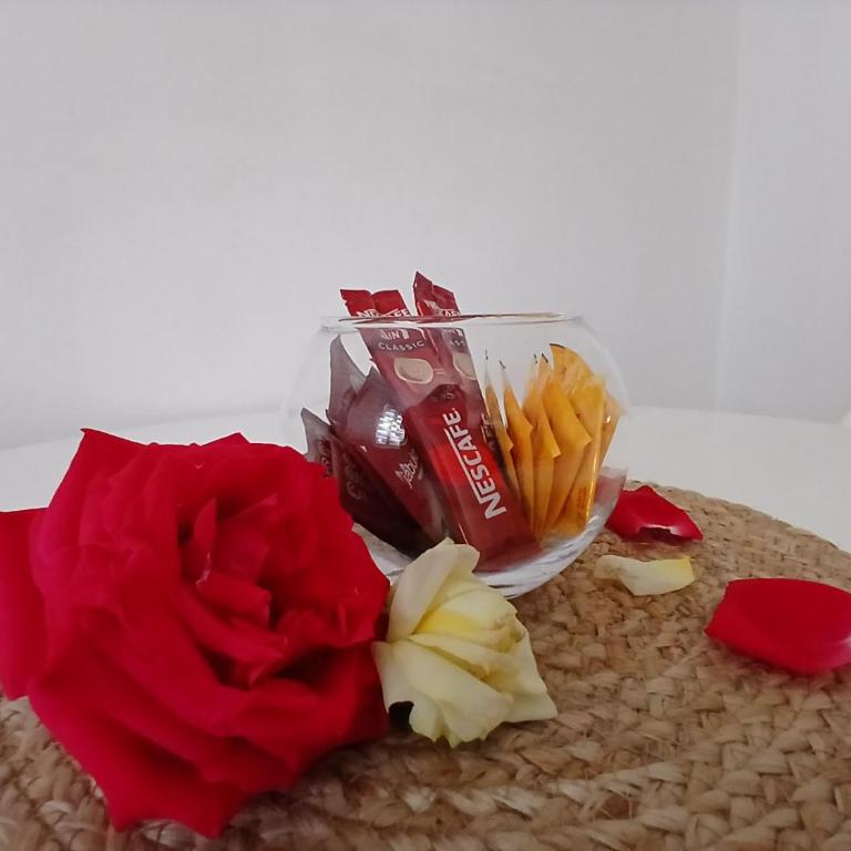 Red Rose Apartment - One-Bedroom Apartment - 4